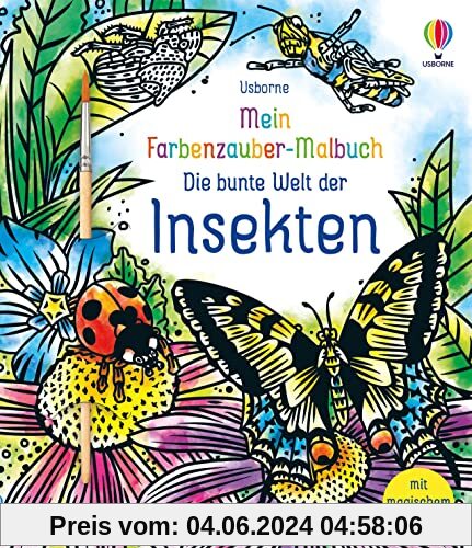 Mein Farbenzauber-Malbuch: Die bunte Welt der Insekten: Buch inklusive Pinsel – ab 6 Jahren – nur Wasser nötig (Meine Farbenzauber-Malbücher)